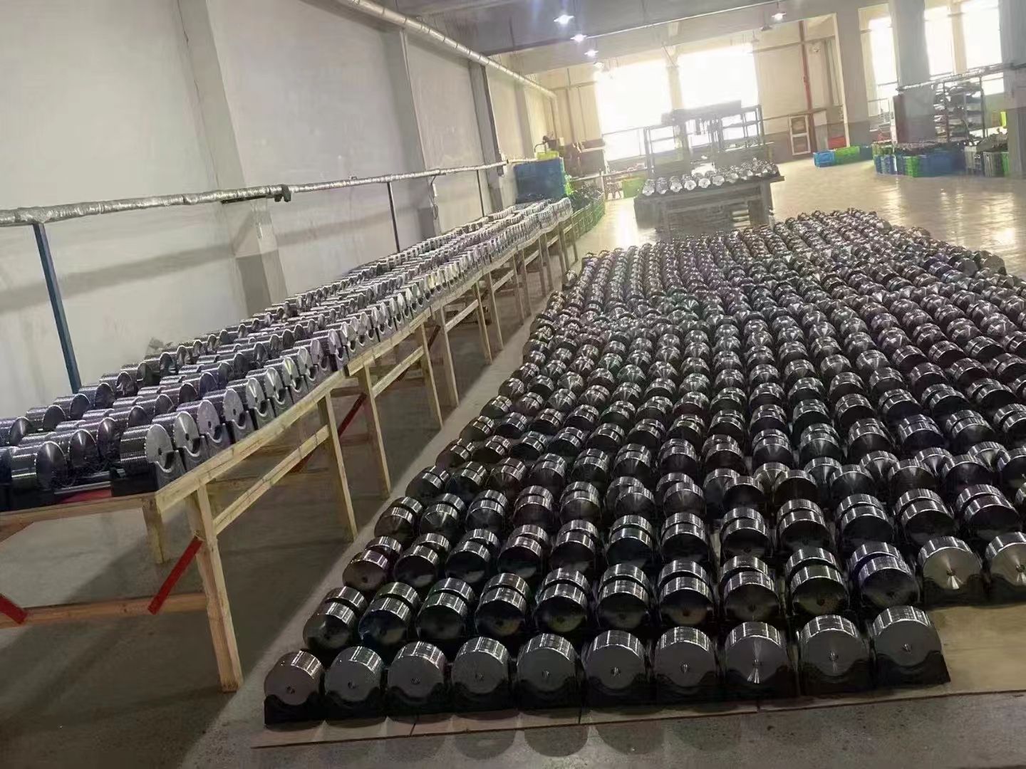 Electroplated Dumbbell